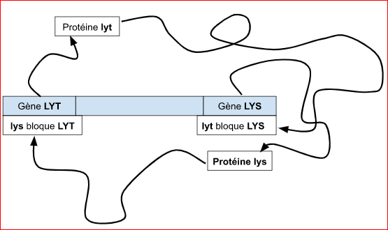 Radiant starburst representing creative insights