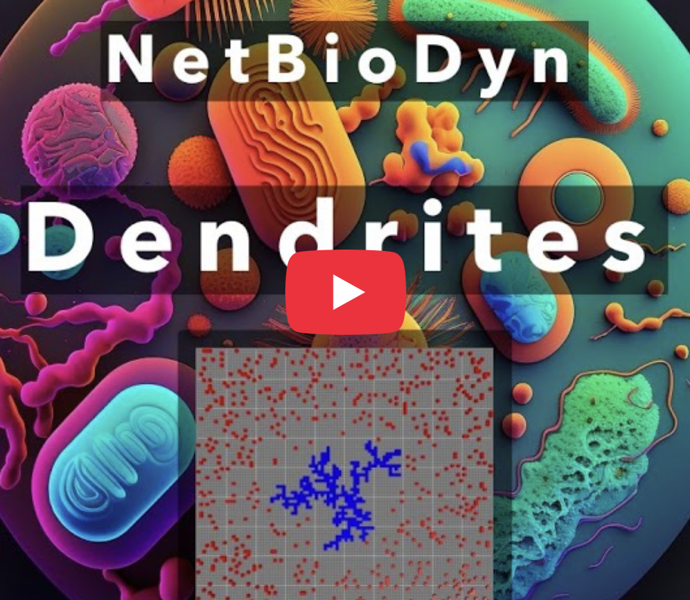 Preview of the NetBioDyn video tutorial